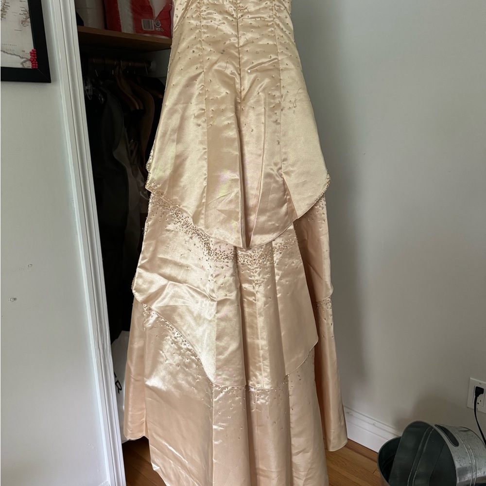 Elegant Golden Gown